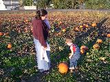 Pumpkin Field - Jefferson, October 3rd, 2004