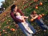 Pumpkin Field - Jefferson, October 3rd, 2004