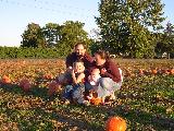 Pumpkin Field - Jefferson, October 3rd, 2004