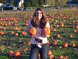 Pumpkin Field - Jefferson, October 3rd, 2004
