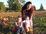 Pumpkin Field - Jefferson, October 3rd, 2004