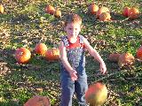 Pumpkin Field - Jefferson, October 3rd, 2004