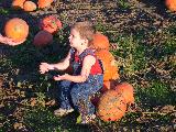 Pumpkin Field - Jefferson, October 3rd, 2004