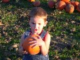 Pumpkin Field - Jefferson, October 3rd, 2004