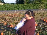 Pumpkin Field - Jefferson, October 3rd, 2004