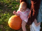 Pumpkin Field - Jefferson, October 3rd, 2004