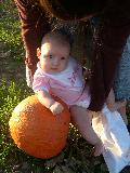 Pumpkin Field - Jefferson, October 3rd, 2004